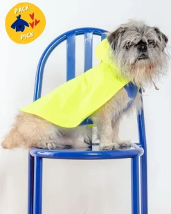 Action Jacket Dog Pull-On Raincoat in Safety Yellow + Blue (Made in NYC)