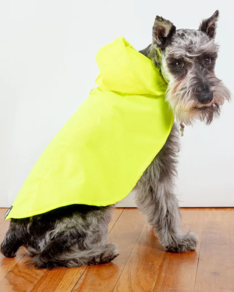 Action Jacket Dog Pull-On Raincoat in Safety Yellow + Blue (Made in NYC)