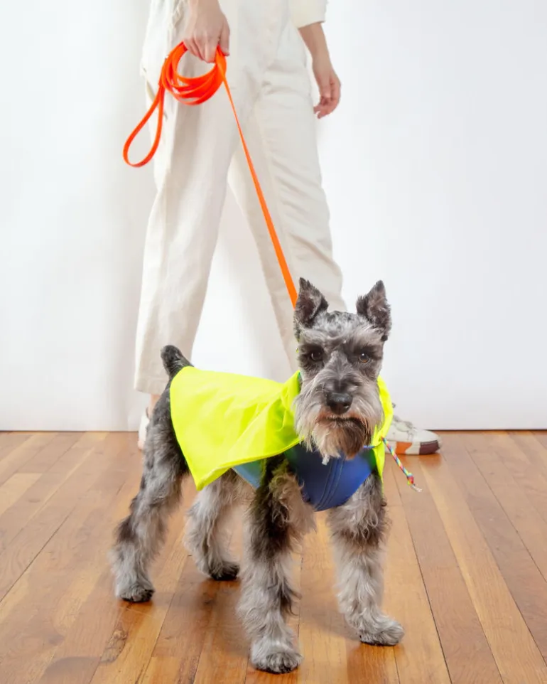 Action Jacket Dog Pull-On Raincoat in Safety Yellow + Blue (Made in NYC)