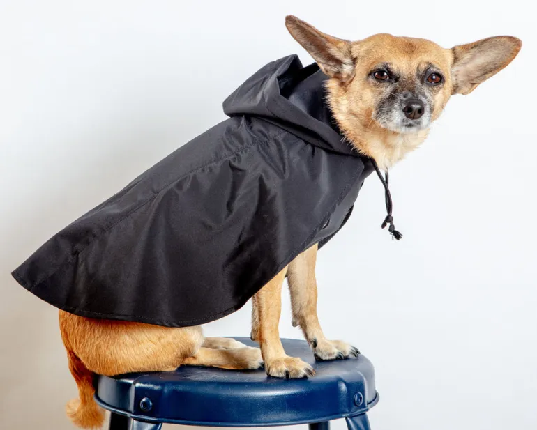 Action Jacket Pull-On Raincoat in Black (Made in the USA)