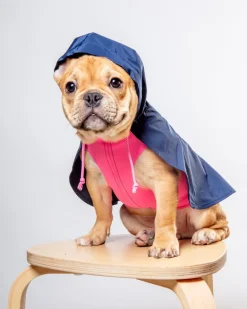 Action Jacket Pull-On Raincoat in Navy + Neon Pink (Made in NYC)