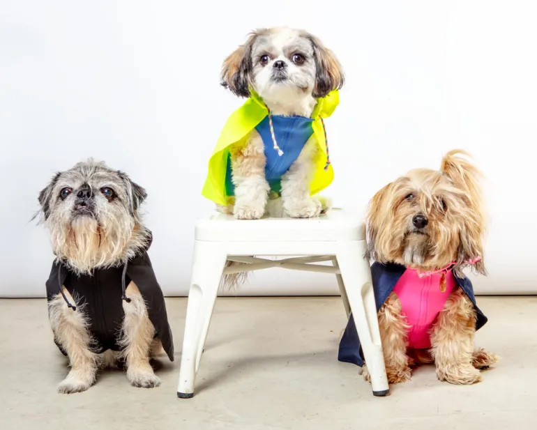 Action Jacket Pull-On Raincoat in Navy + Neon Pink (Made in NYC)
