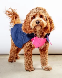 Action Jacket Pull-On Raincoat in Navy + Neon Pink (Made in NYC)