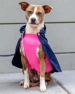 Action Jacket Pull-On Raincoat in Navy + Neon Pink (Made in NYC)