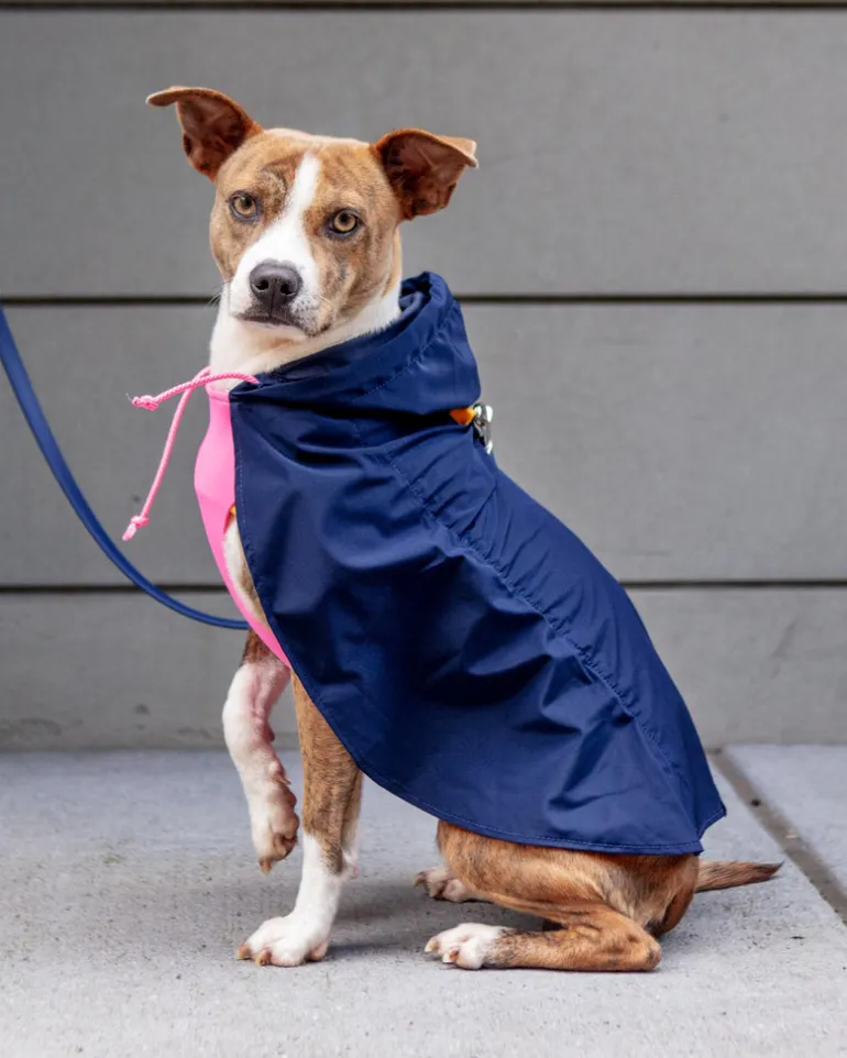 Action Jacket Pull-On Raincoat in Navy + Neon Pink (Made in NYC)