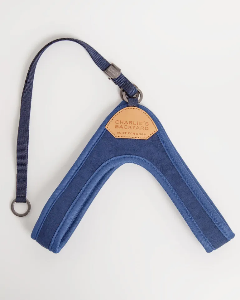 Adjustable Easy Dog Harness in Navy