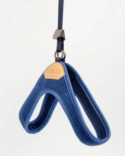 Adjustable Easy Dog Harness in Navy