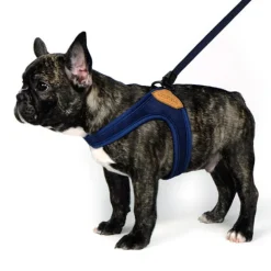 Adjustable Easy Dog Harness in Navy