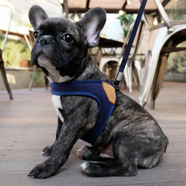 Adjustable Easy Dog Harness in Navy