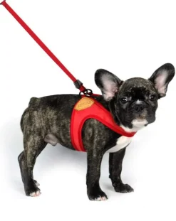 Adjustable Easy Dog Harness in Red