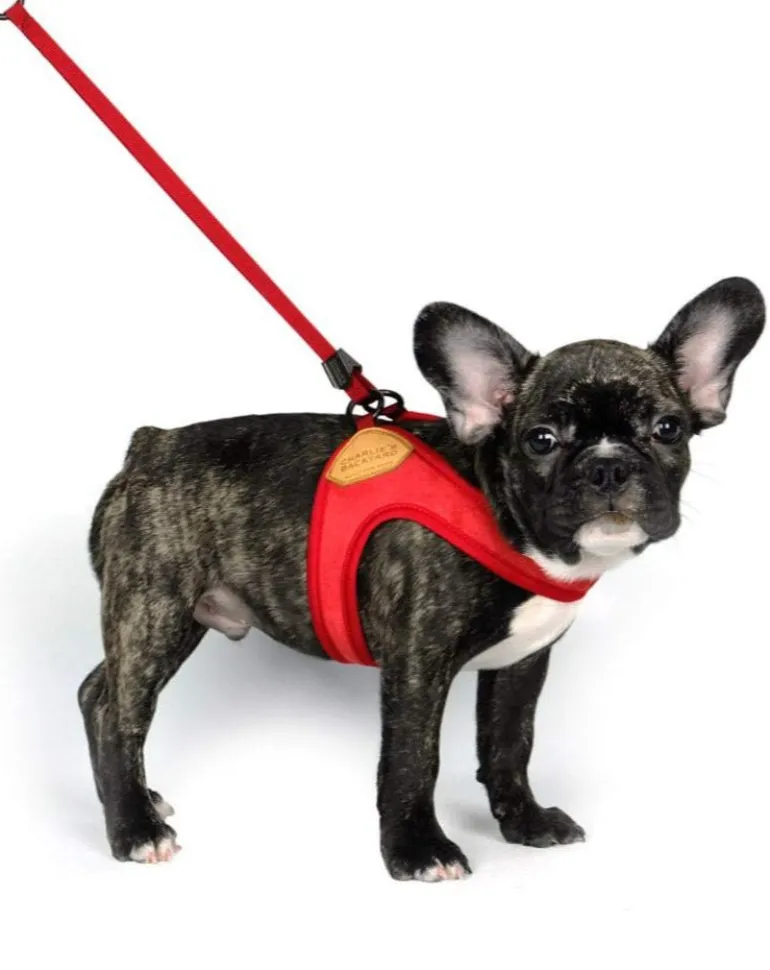 Adjustable Easy Dog Harness in Red