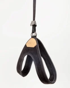 Adjustable Easy Dog Harness in Black