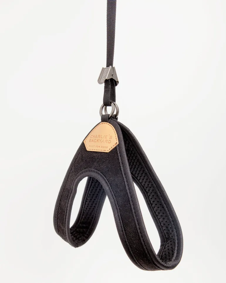 Adjustable Easy Dog Harness in Black