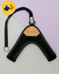 Adjustable Easy Dog Harness in Black