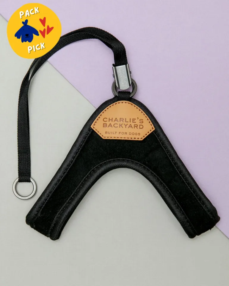 Adjustable Easy Dog Harness in Black