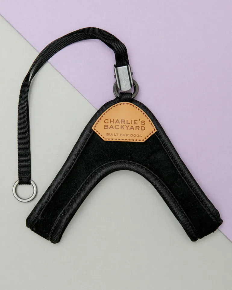 Adjustable Easy Dog Harness in Black