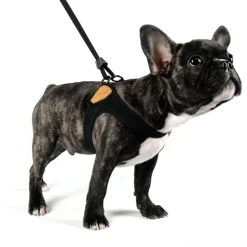 Adjustable Easy Dog Harness in Black