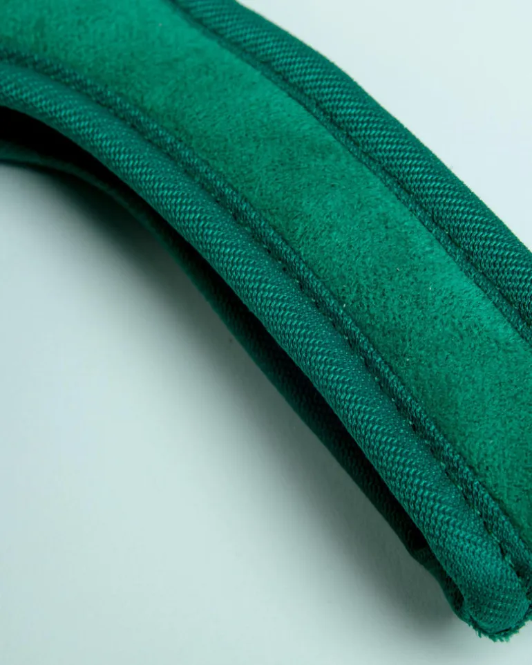 Adjustable Easy Dog Harness in Green
