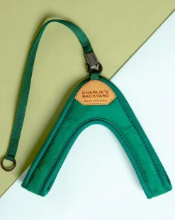 Adjustable Easy Dog Harness in Green