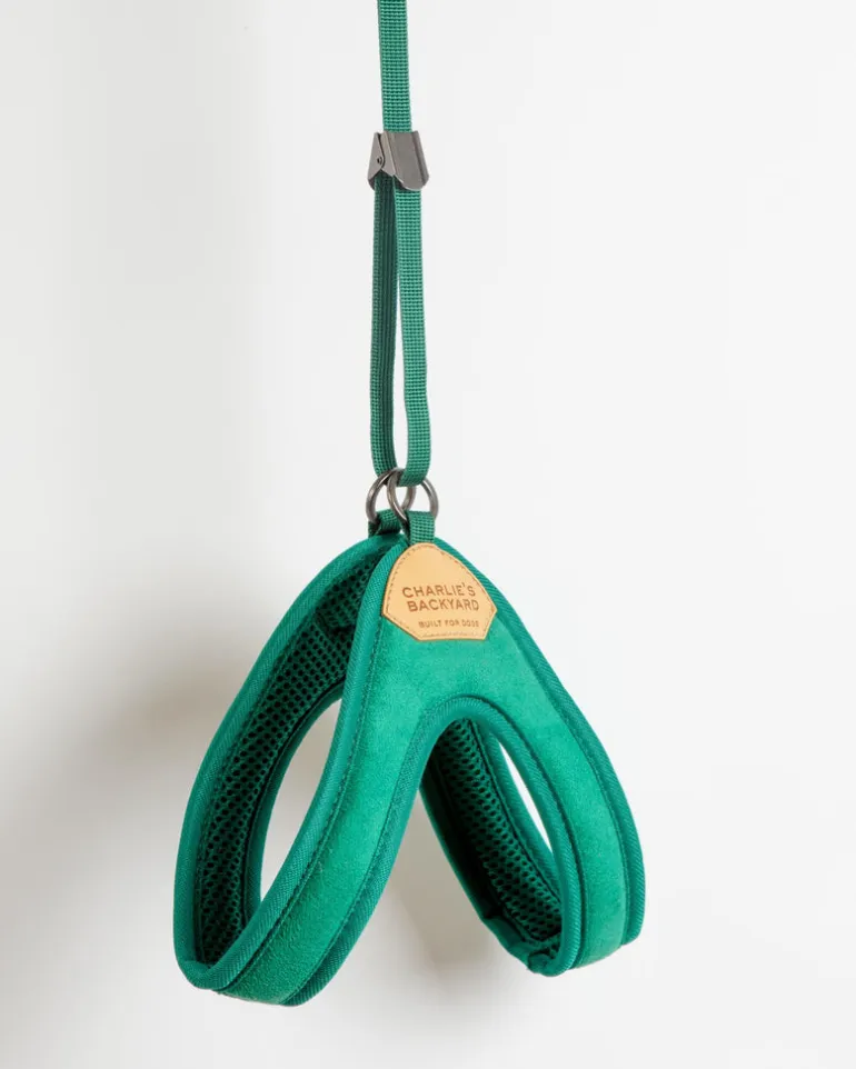 Adjustable Easy Dog Harness in Green