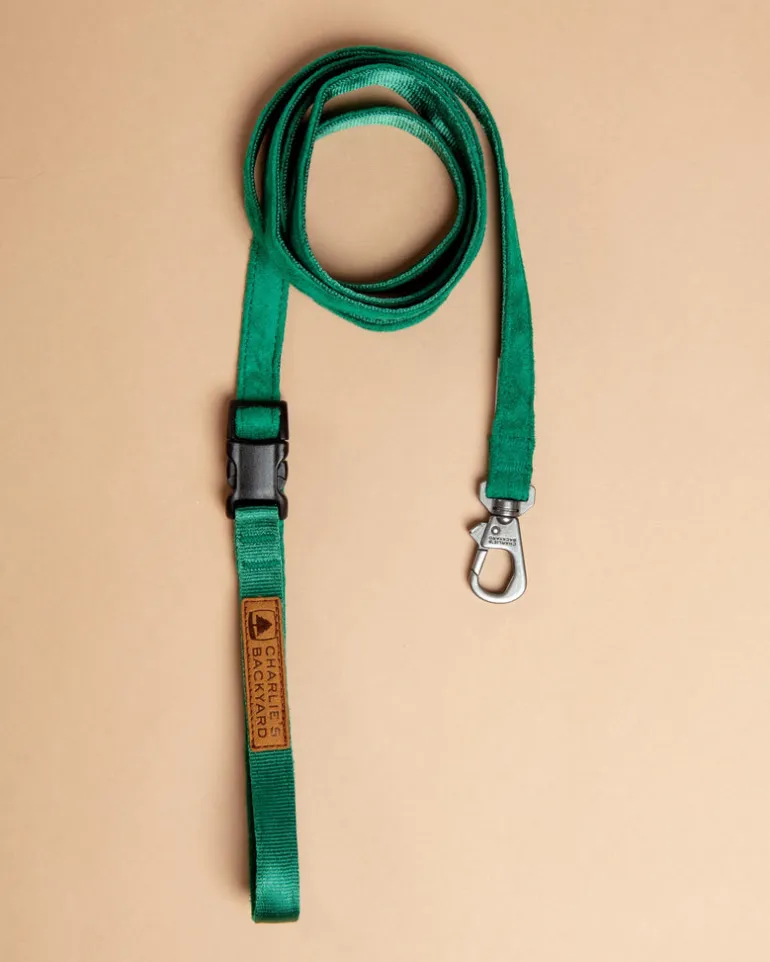 Adjustable Easy Dog Leash in Green