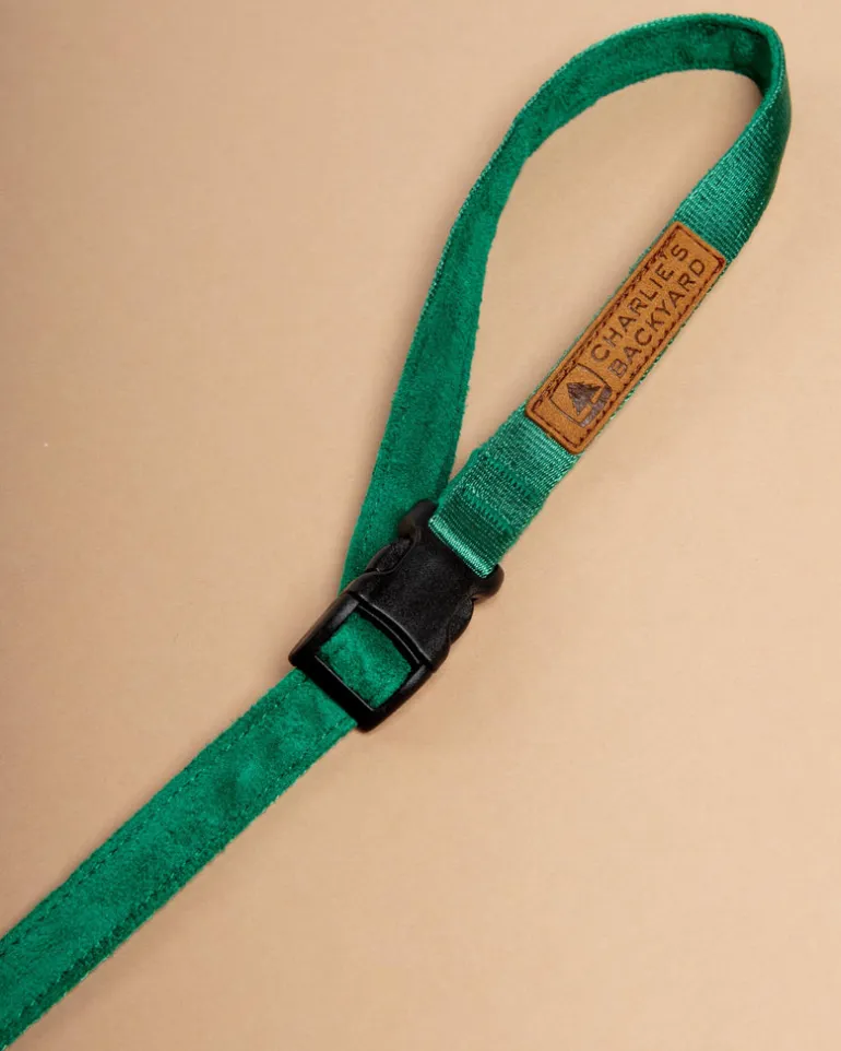 Adjustable Easy Dog Leash in Green