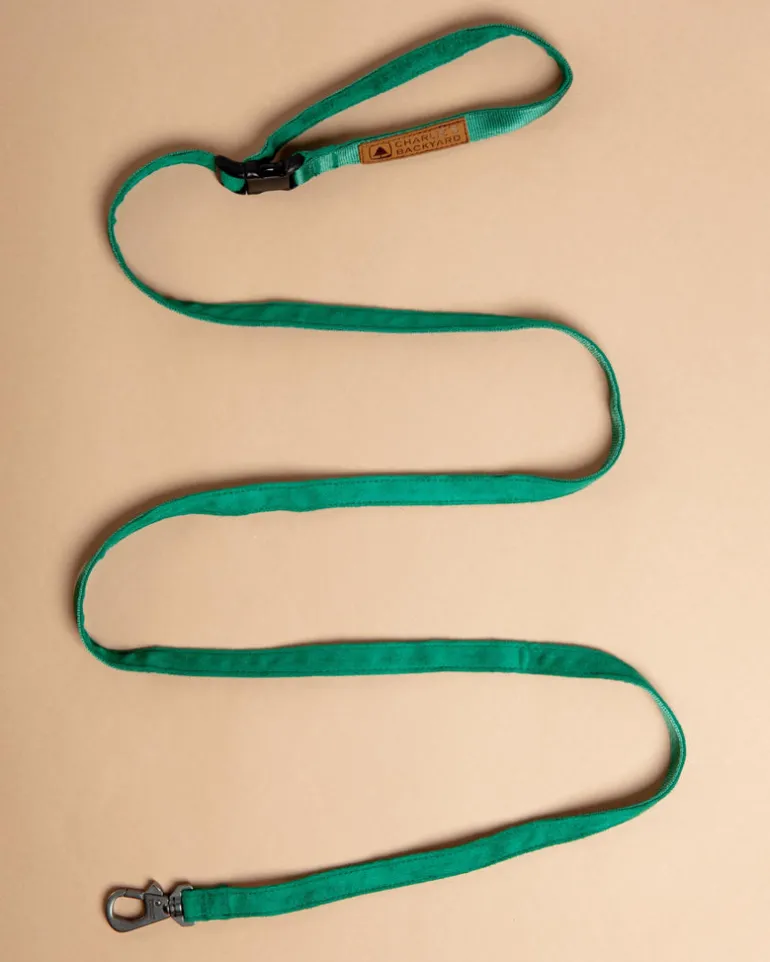 Adjustable Easy Dog Leash in Green