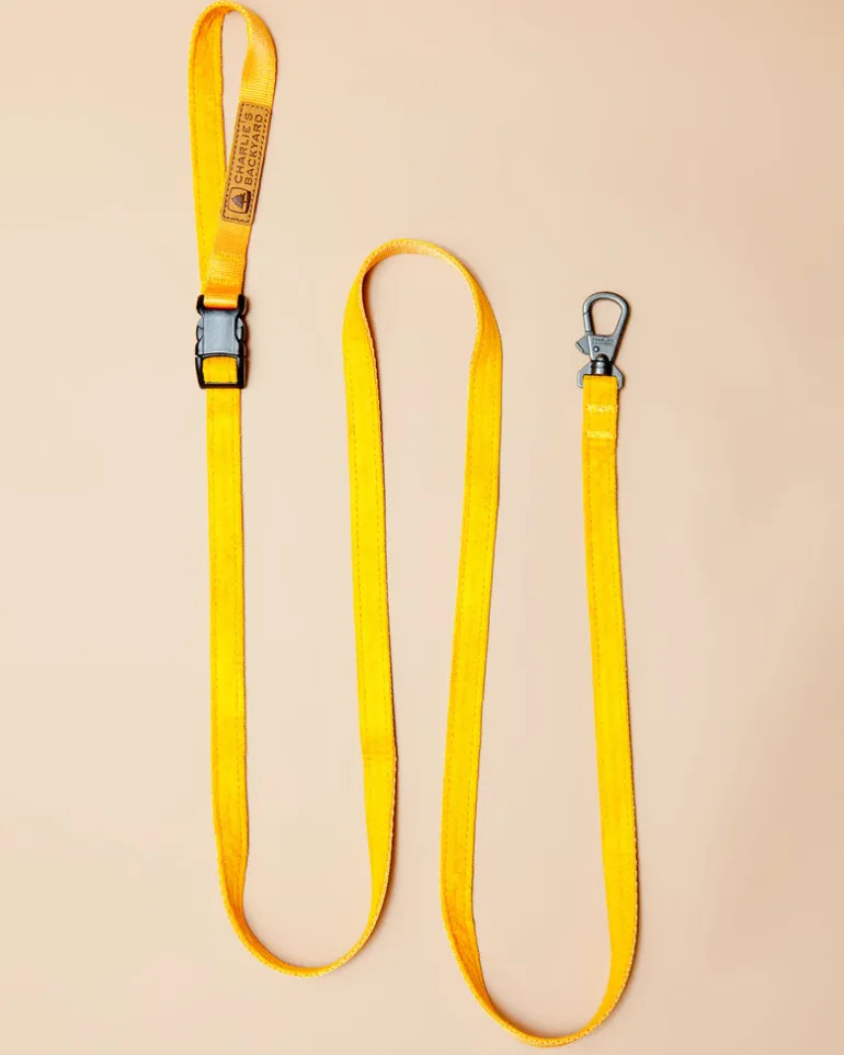 Adjustable Easy Dog Leash in Yellow