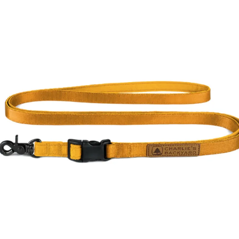 Adjustable Easy Dog Leash in Yellow