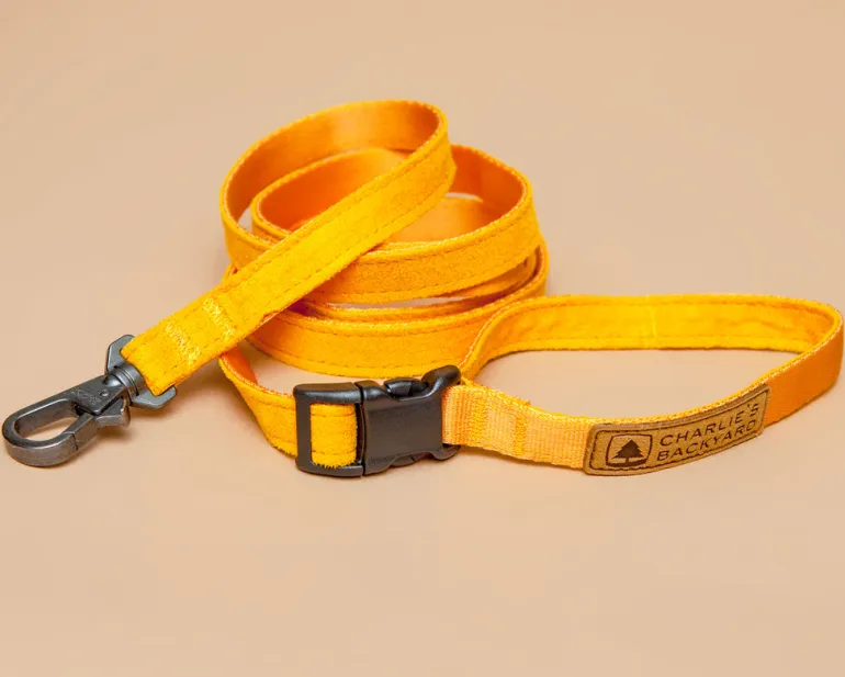 Adjustable Easy Dog Leash in Yellow
