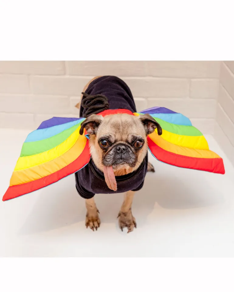 Adjustable Tie-On Rainbow Dog Wings