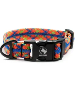 Adventure Dog Collar in Daybreak (Made in the USA)