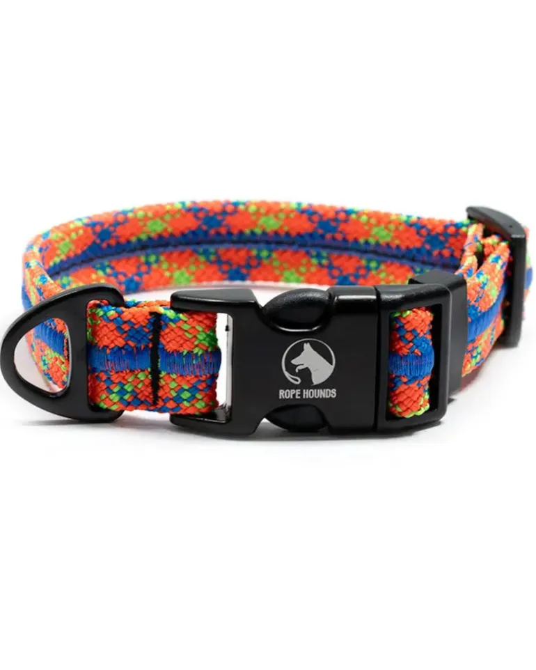 Adventure Dog Collar in Daybreak (Made in the USA)