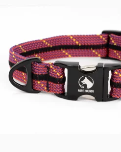 Adventure Dog Collar in Mulberry Wine (Made in the USA)