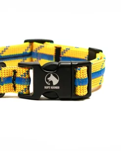 Adventure Dog Collar in Sunkiss Splash (Made in the USA)