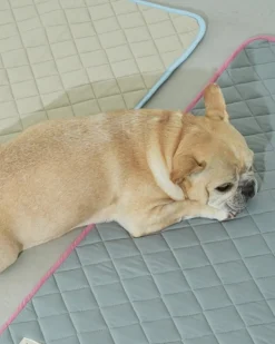 Airy Pet Cooling Mat