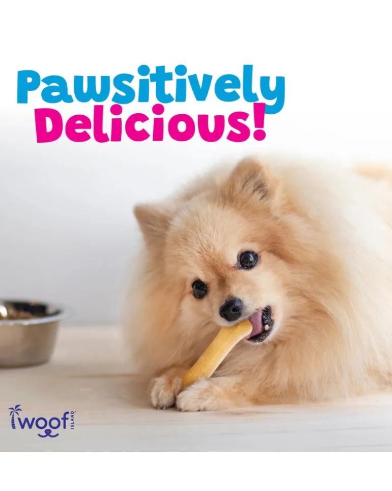 All Natural Coconut Dog Bone Treat (2-Pack)