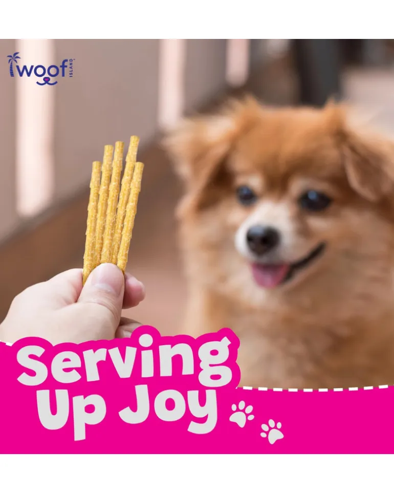 All Natural Coconut Dog Twist Sticks Treat (12-Pack)