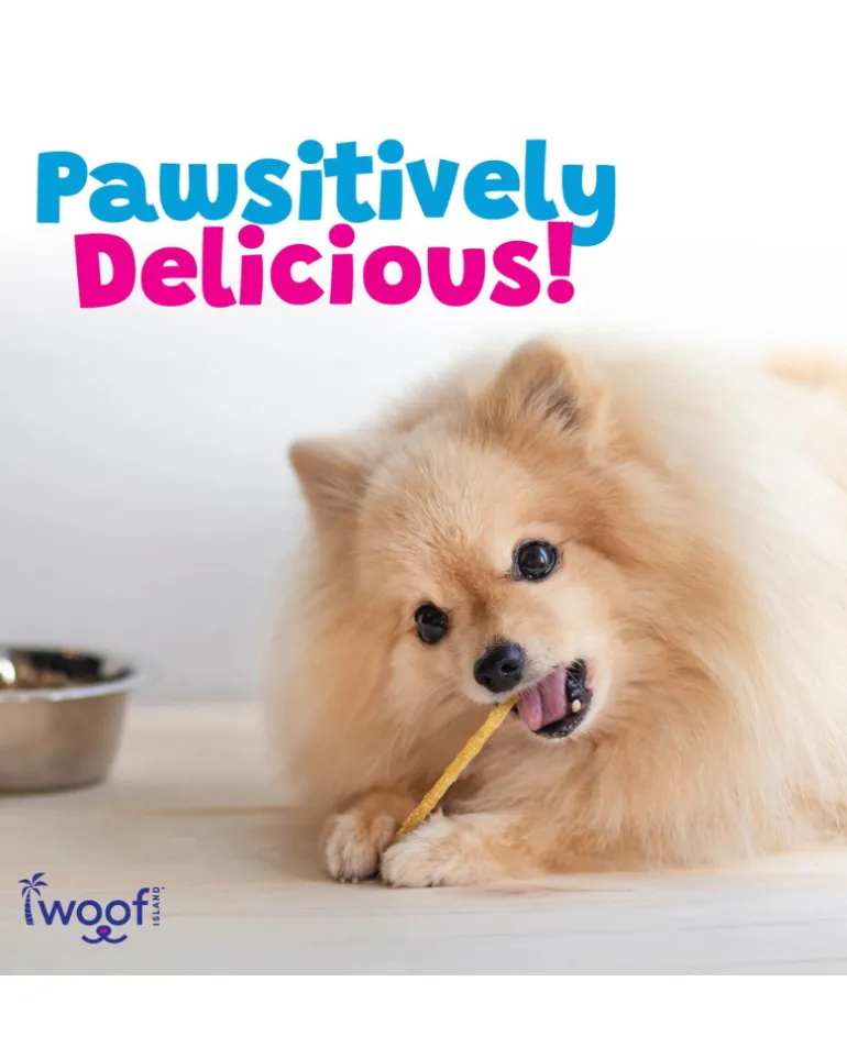 All Natural Coconut Dog Twist Sticks Treat (12-Pack)