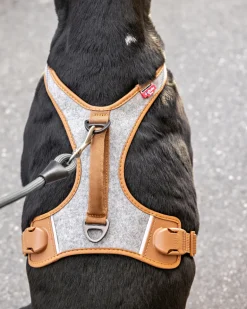 Alpine Belka Dog Harness (for Medium to Large Dogs)