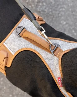 Alpine Belka Dog Harness (for Medium to Large Dogs)