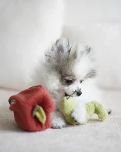 Apple Interactive Snuffle Dog Toy