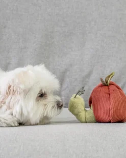 Apple Interactive Snuffle Dog Toy