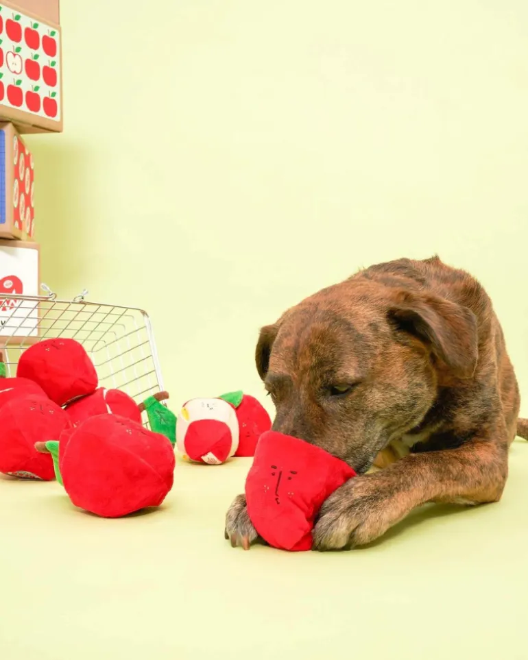 Apple Nosework Dog Toy