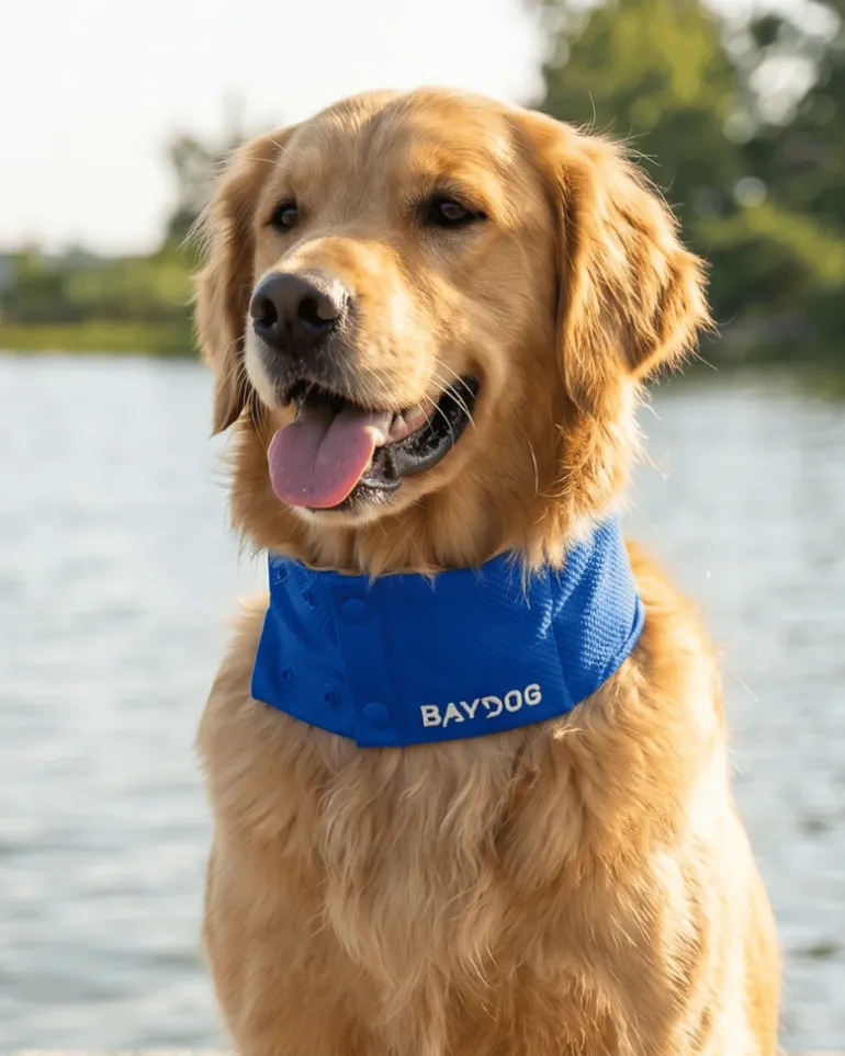 Arctic Cooling Collar for Dogs