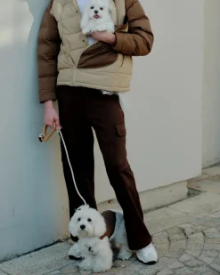Ash Wood Handle Dog Leash