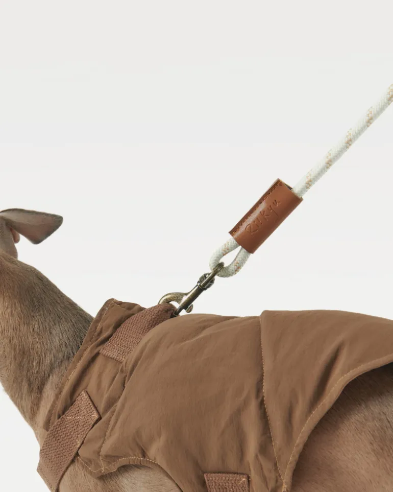 Ash Wood Handle Dog Leash