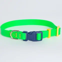 A Walk in the Park Dog Collar in Neon Green (Made in the USA)