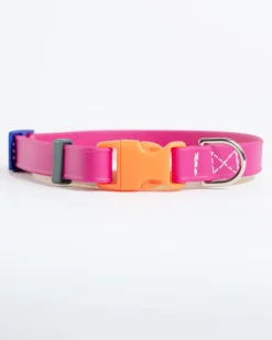 A Walk in the Park Dog Collar in Magenta Pink (Made in the USA)