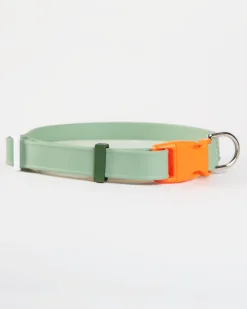 A Walk in the Park Dog Collar in Sage Green (Made in the USA)